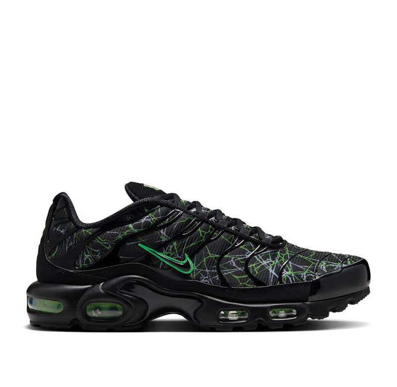 Nike Air Max Plus "Gradient"