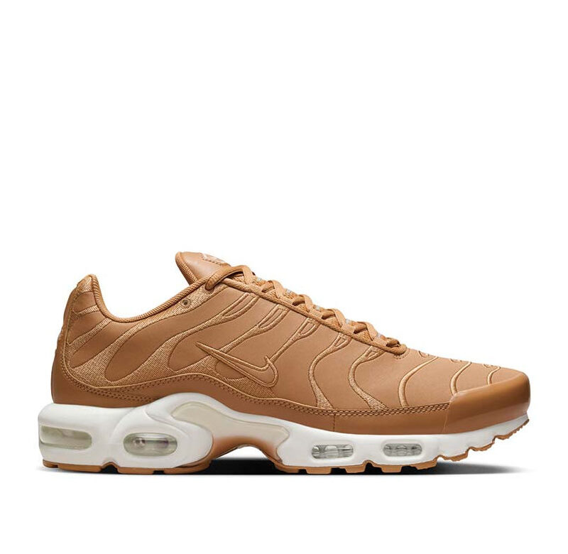 Nike Air Max Plus "Aqua"