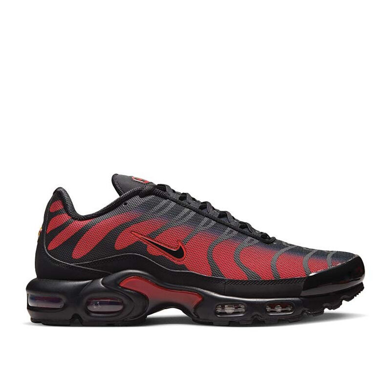 Nike Air Max Plus One Black Down "Reverse"