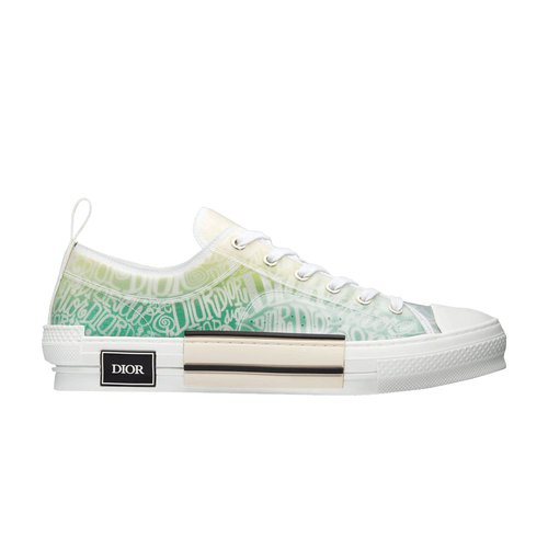 Dior B23 Low and Shawn Print